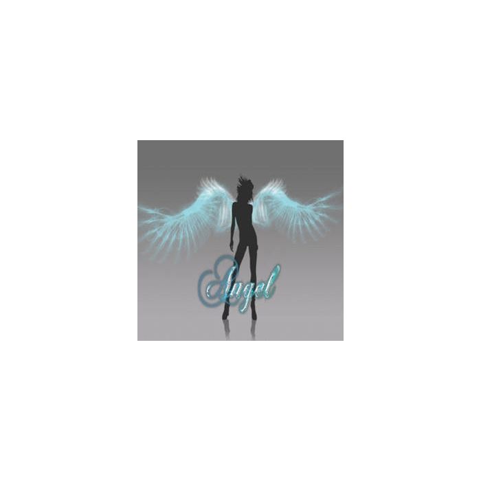 Angel 2g